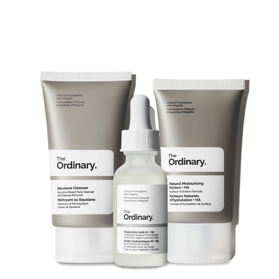 The Ordinary The Daily Set